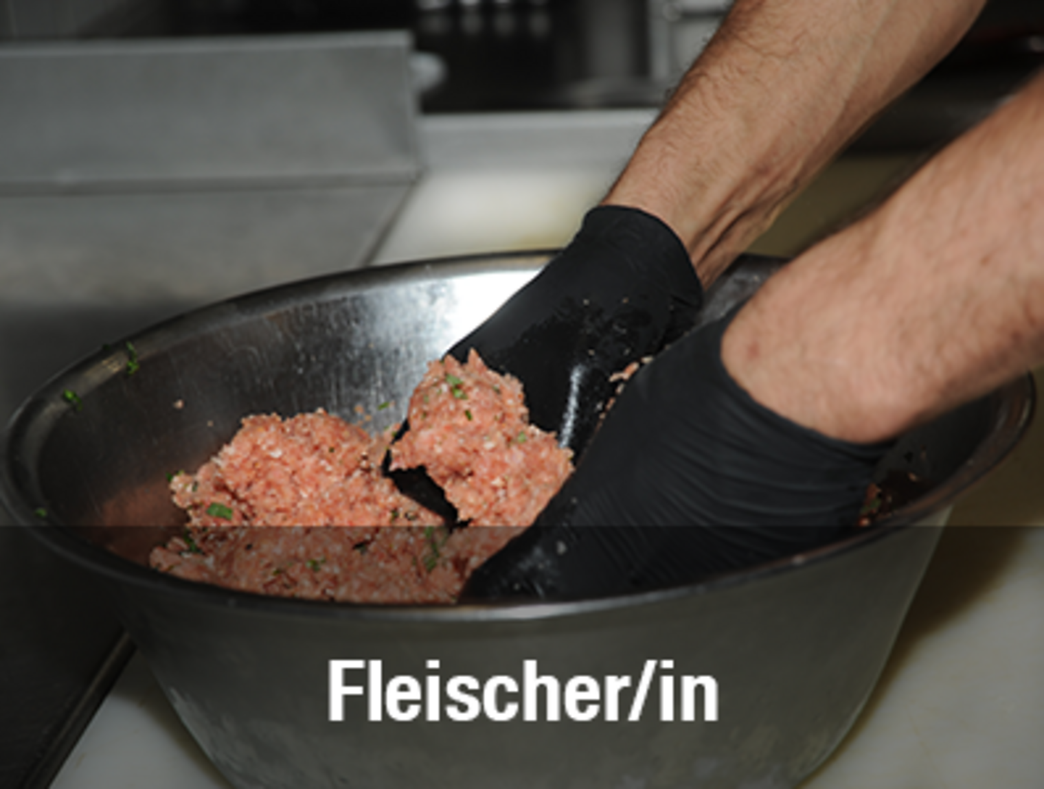 Fleischer-400x300-Kachel